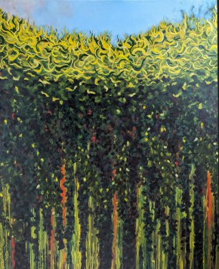 La forêt explosive